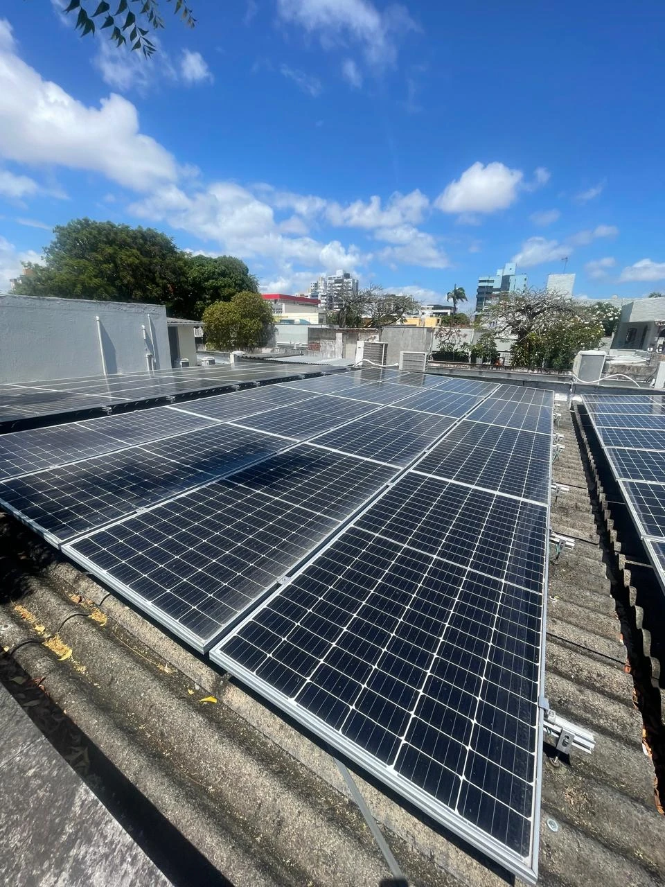 Cuidar do planeta começa na infância: veja como fazemos isso na Open School